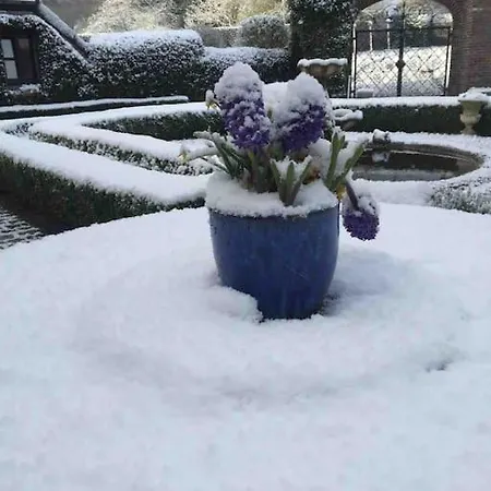 D Hotes Le Joyau With Indoor Pool And Sauna